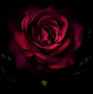 Meet your Posher, Natali